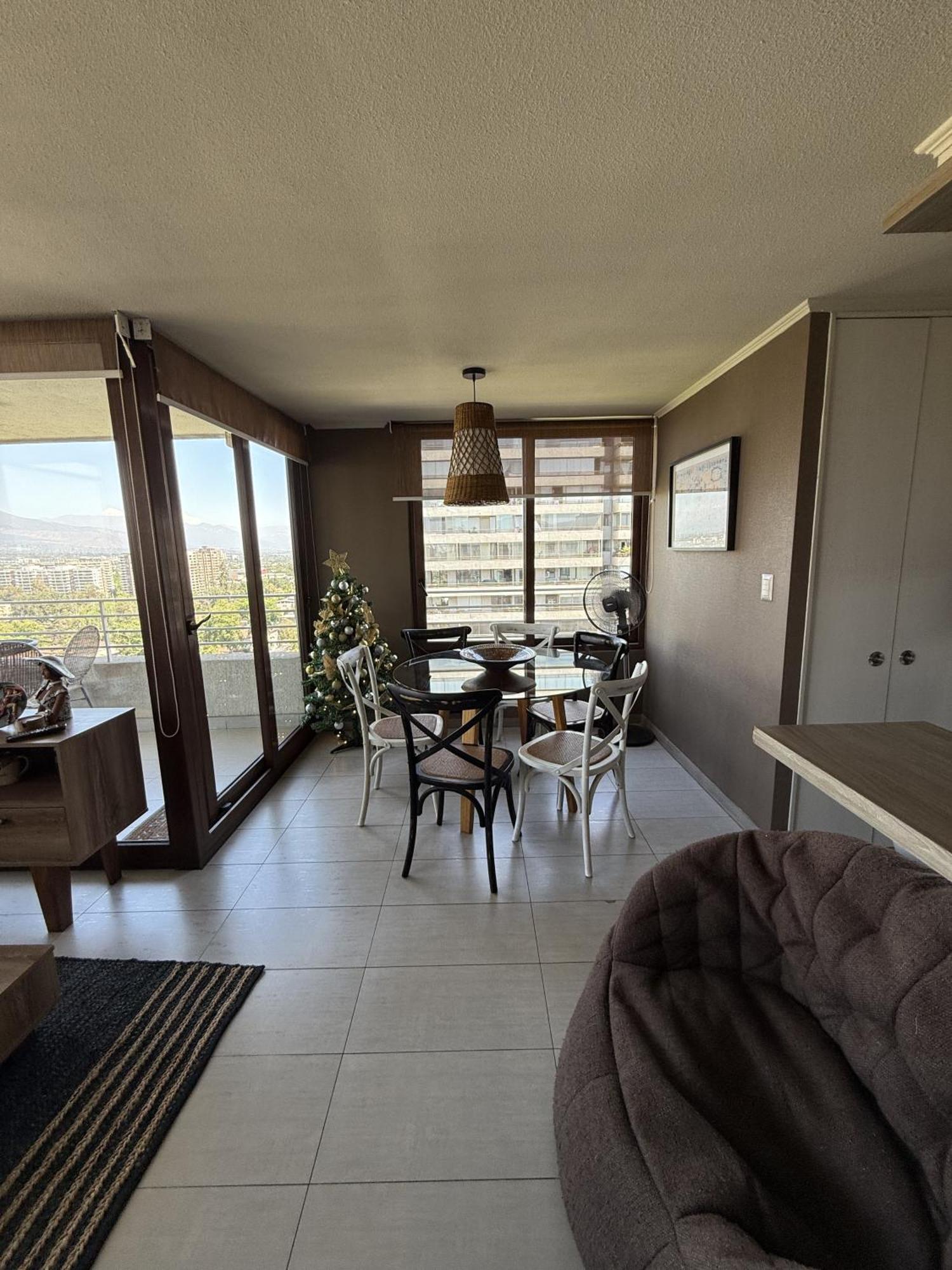 Family Stgo Lounge Penthouse With Andes View Santiago