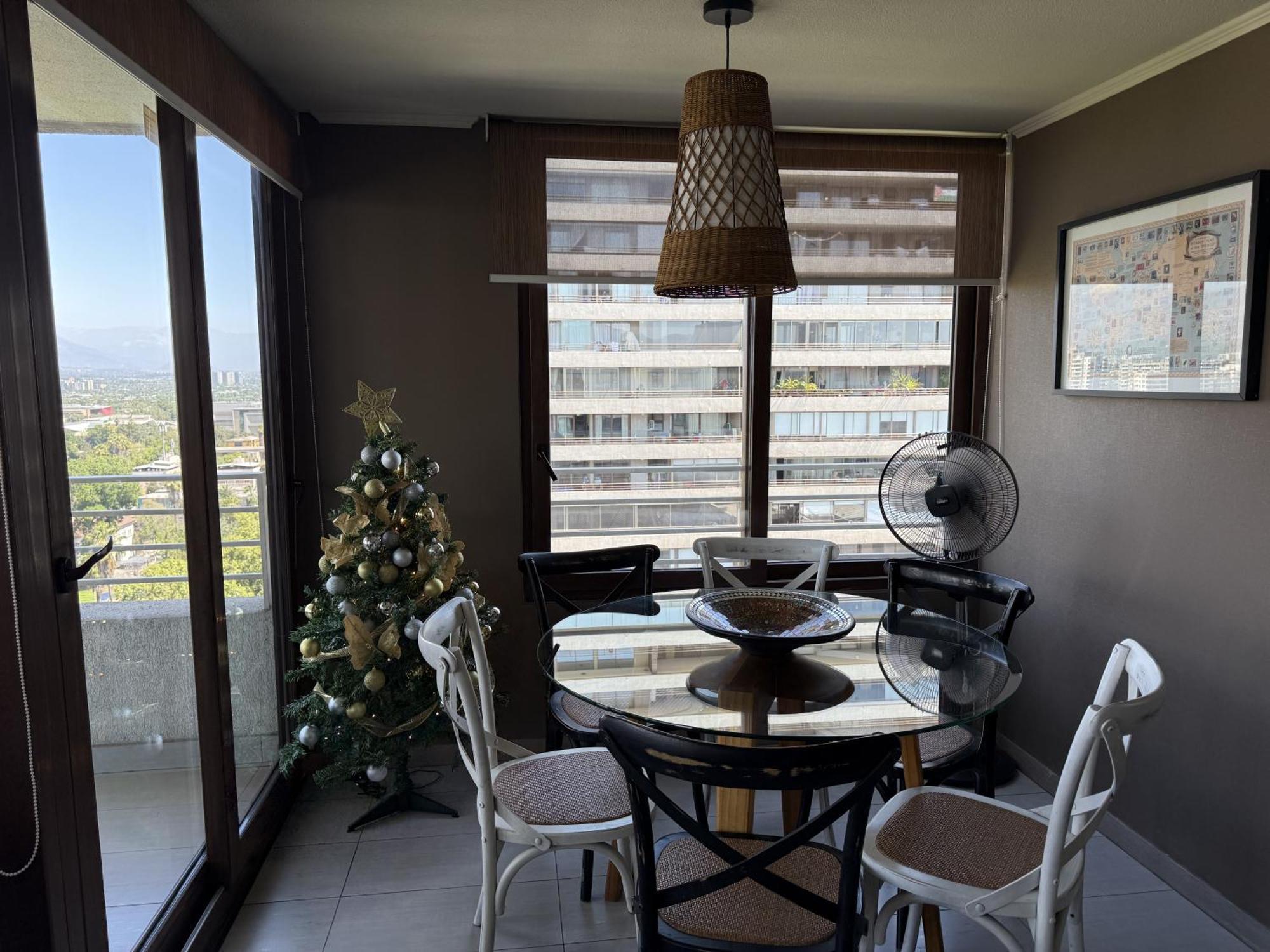 Family Stgo Lounge Penthouse With Andes View