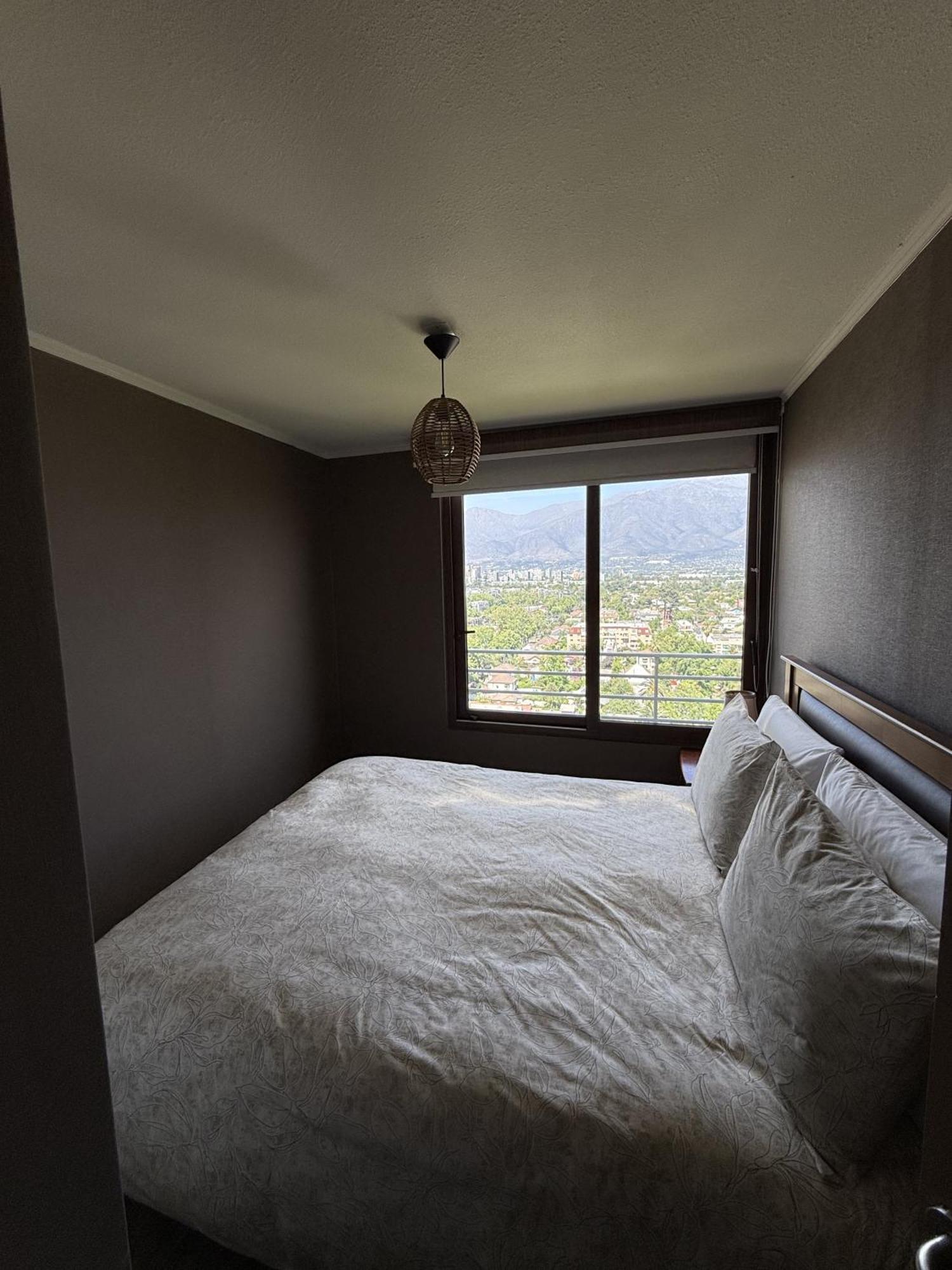 Family Stgo Lounge Penthouse With Andes View Apartment